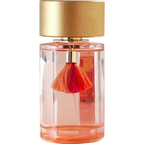 next coral blush perfume dupe|next aftershave dupe.